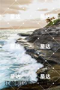 江疏桐段知许