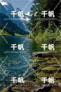 林书意陆沉